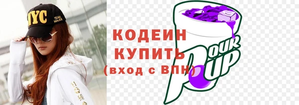 spice Ельня