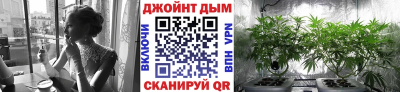 Канабис индика  Венёв 